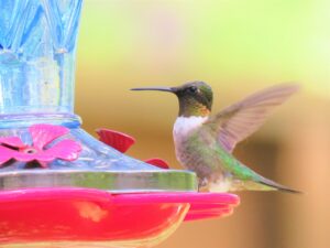 Columbus real estate market humming